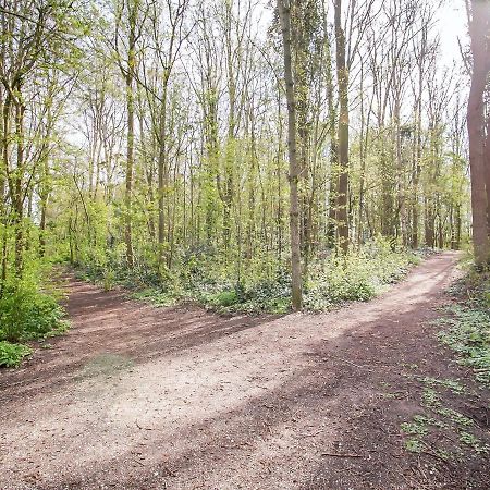 Lovely Bungalow In Noordwijkerhout With Garden Luaran gambar